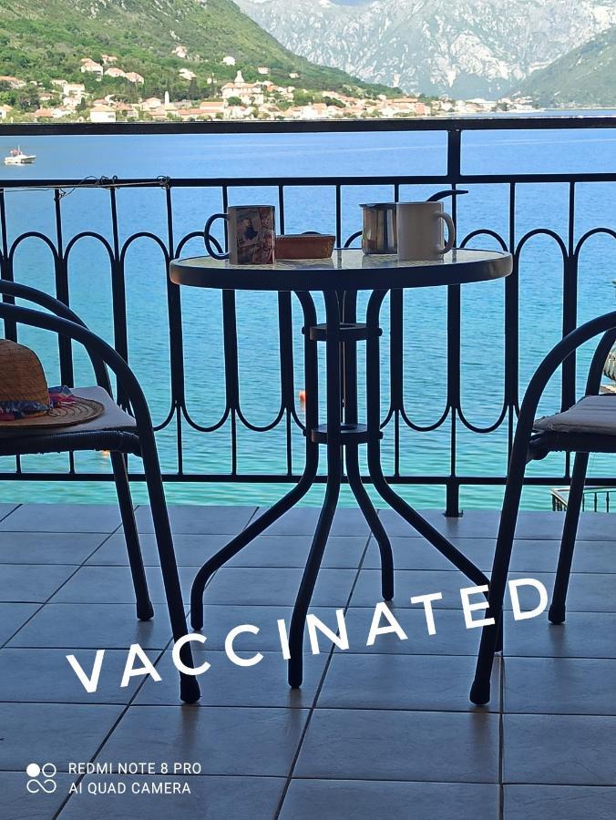 Apartment The Sea Coast Kotor Bagian luar foto