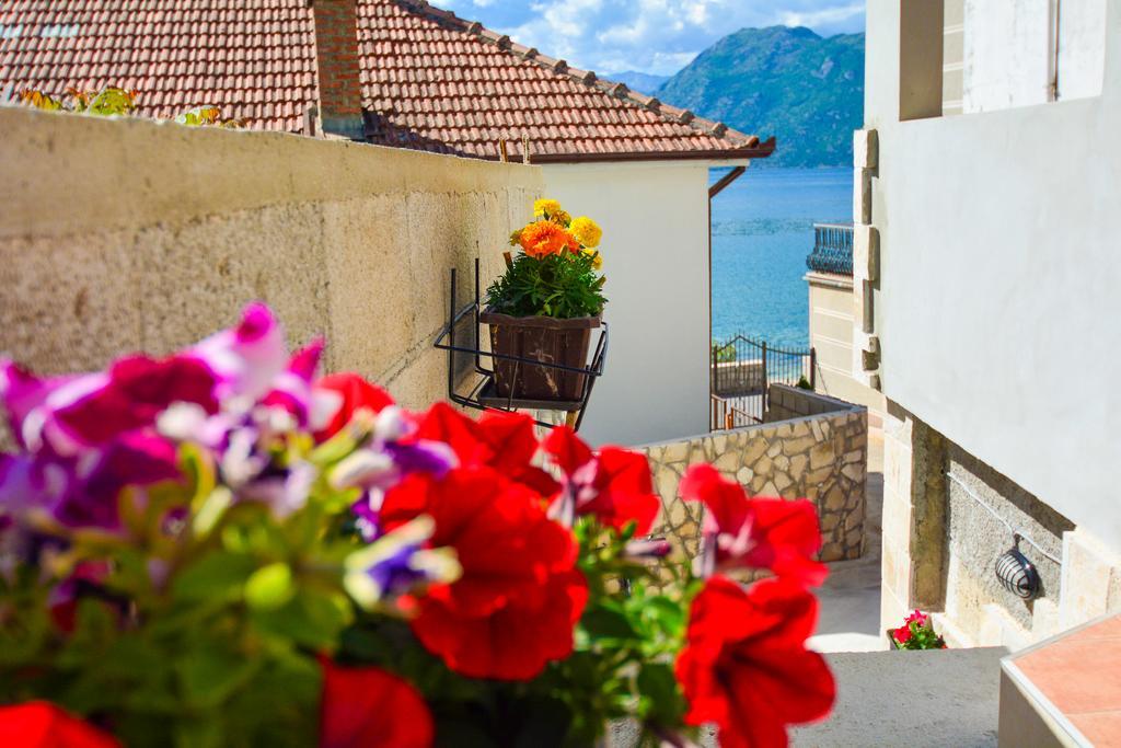 Apartment The Sea Coast Kotor Bagian luar foto